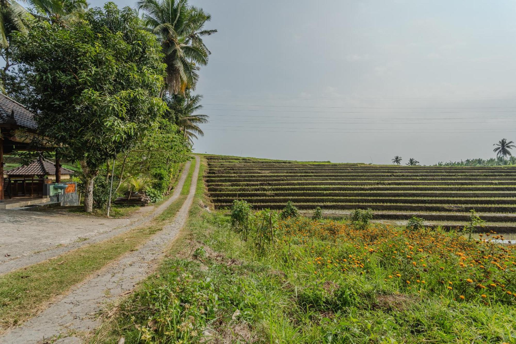 Pondok Hari Baik Balian Buitenkant foto