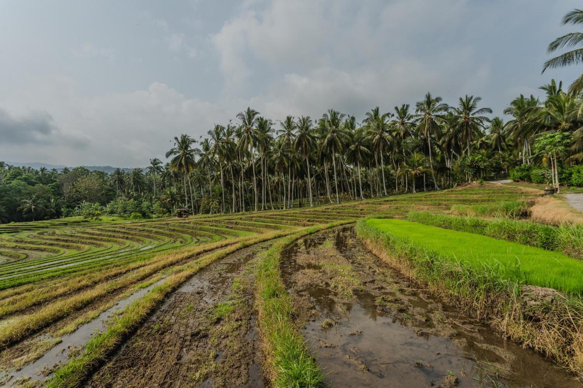 Pondok Hari Baik Balian Buitenkant foto
